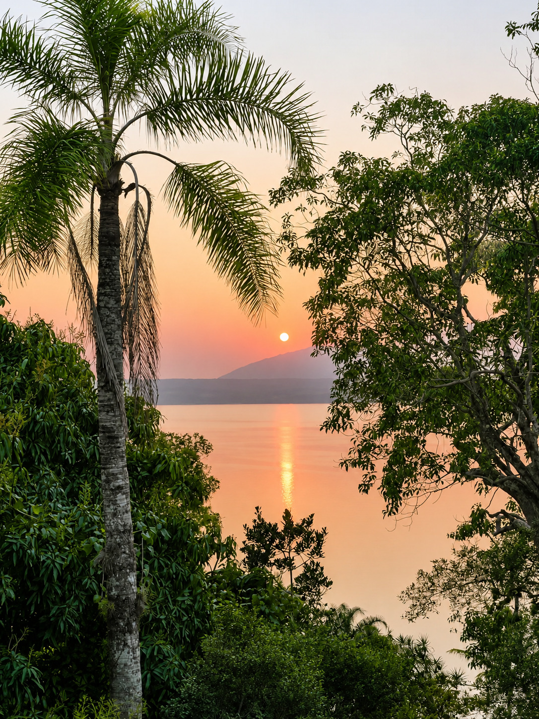 Vista da Lagoa da Conceição